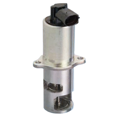 EGR Valve (83.718)