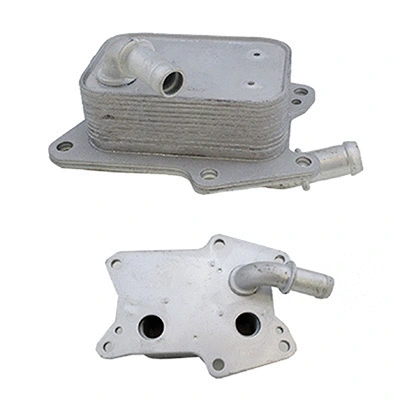 Oil Cooler, engine oil (590256)
