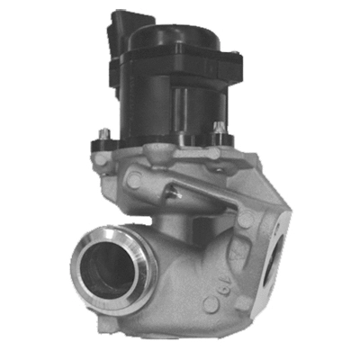 EGR Valve (83.601AS)