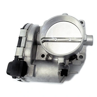 Throttle Body (88.216)