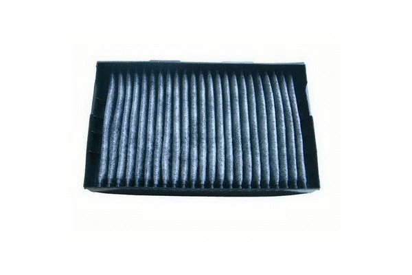 Filter, cabin air (689)
