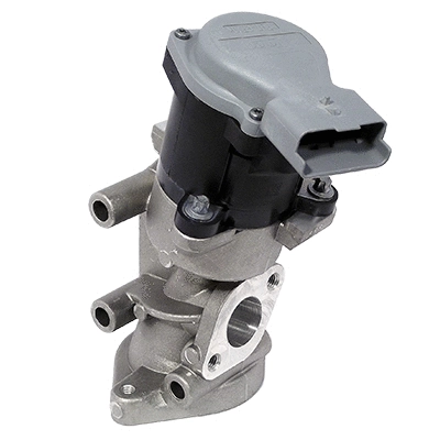 EGR Valve (83.954)