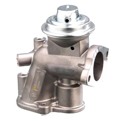EGR Valve (83.813)