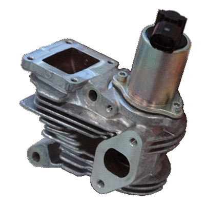 EGR Valve (83.821)