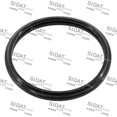 Seal, thermostat (94.016103)