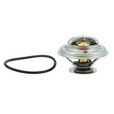 Thermostat, coolant (94.173)