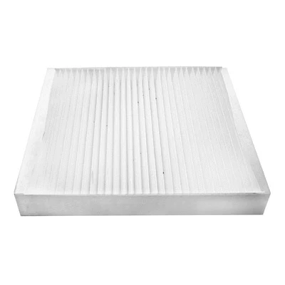 Filter, cabin air (BL866)