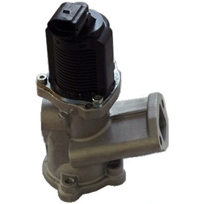 EGR Valve (83.831A2)