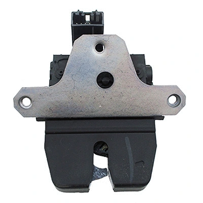 Tailgate Lock (610096)