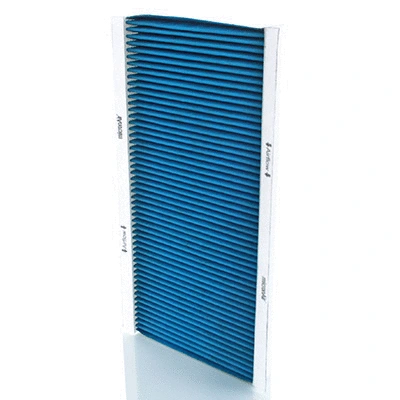 Filter, cabin air (BL661)