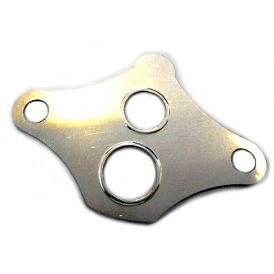 Gasket, EGR valve (83.01605)