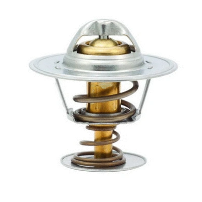 Thermostat, coolant (94.161)