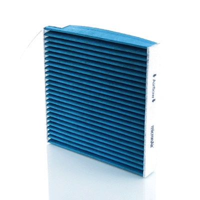 Filter, cabin air (BL679)