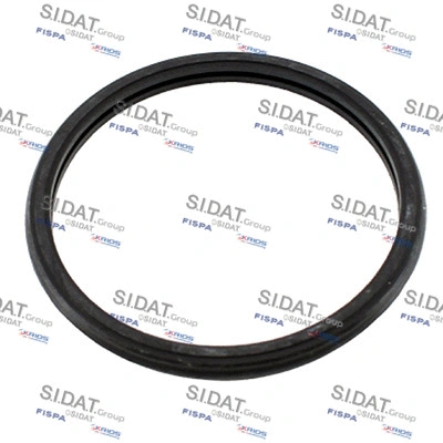 Seal, thermostat (94.01684)