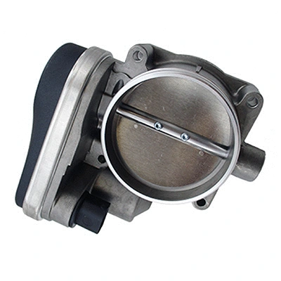 Throttle Body (88.486)
