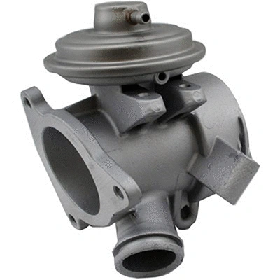 EGR Valve (83.1273)