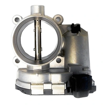 Throttle Body (88.245)