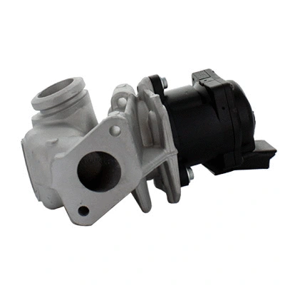 EGR Valve (83.613R)