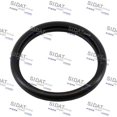 Seal, thermostat (94.01670)