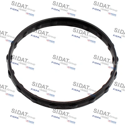 Seal, thermostat (94.01692)