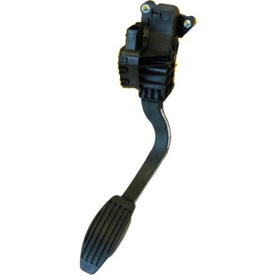 Accelerator Pedal Unit (84.407)