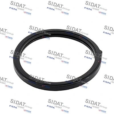 Seal, thermostat (94.01698)