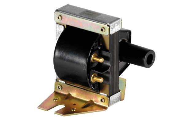Ignition Coil (85.30114)