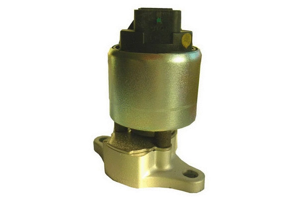 EGR Valve (83.797)