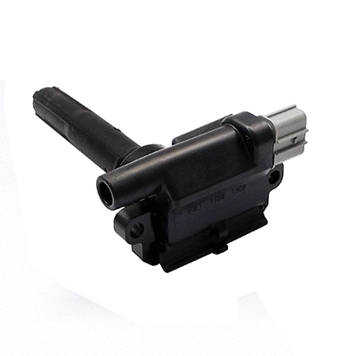 Ignition Coil (85.30313)