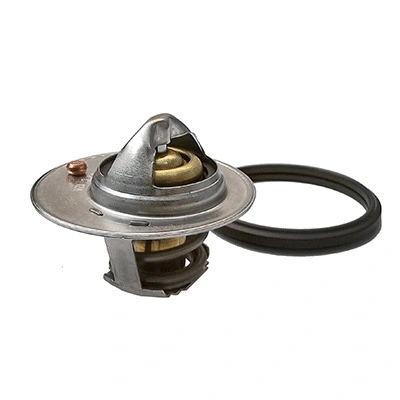 Thermostat, coolant (94.684)