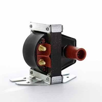 Ignition Coil (85.30070)