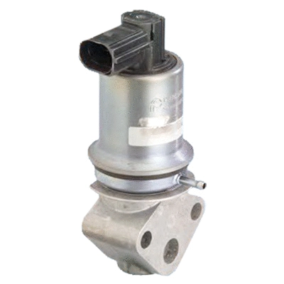EGR Valve (83.619)