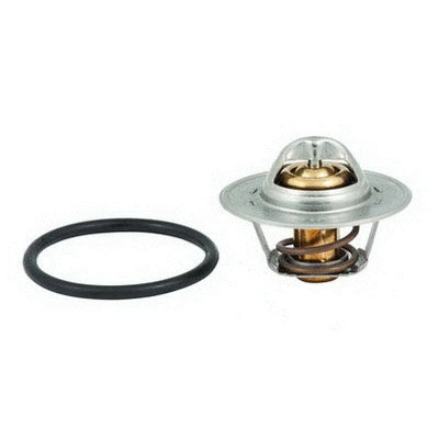 Thermostat, coolant (94.545)