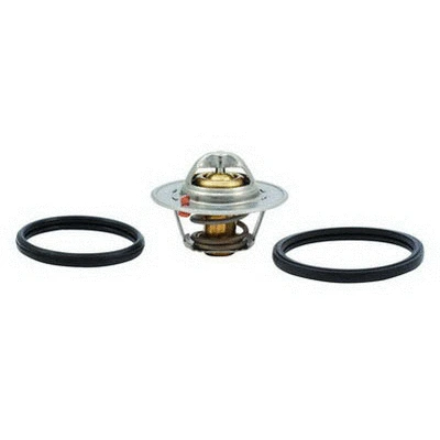 Thermostat, coolant (94.750)