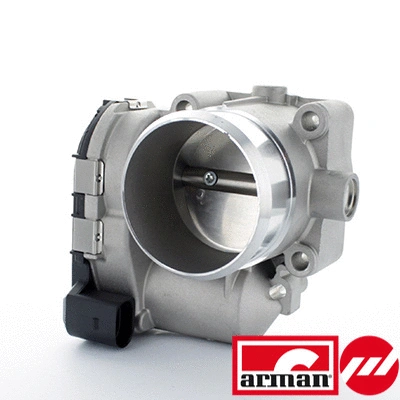 Throttle Body (88.117AS)