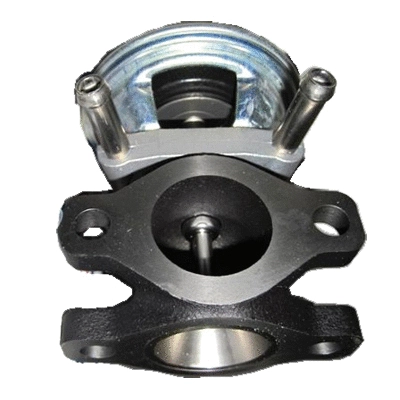 EGR Valve (83.838)
