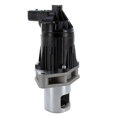 EGR Valve (83.1113)