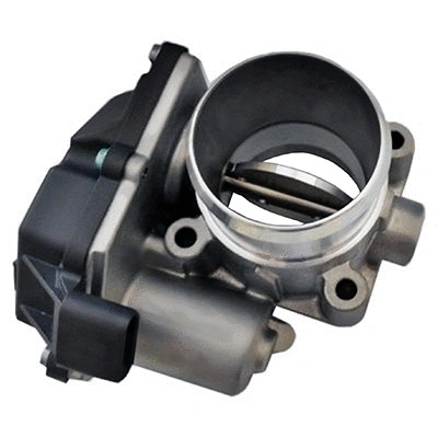 Throttle Body (88.309)