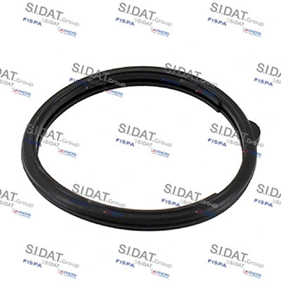 Seal, thermostat (94.01679)