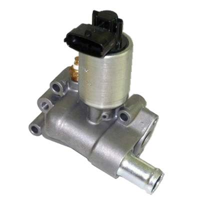 EGR Valve (83.609AS)