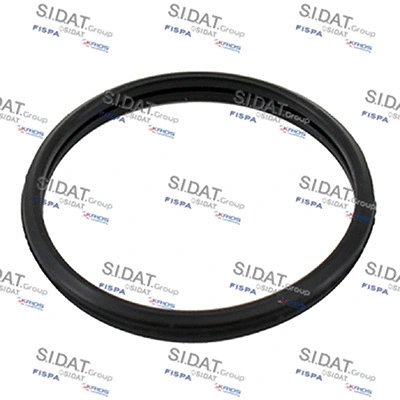 Seal, thermostat (94.01677)