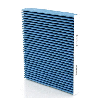 Filter, cabin air (BL890)