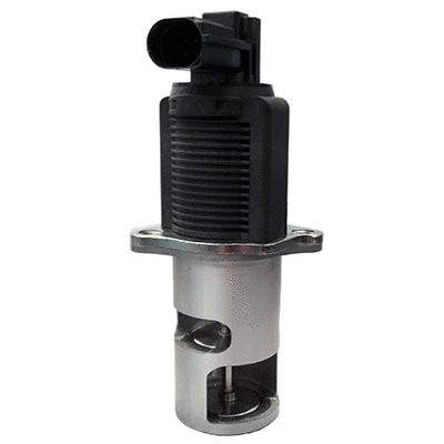 EGR Valve (83.646)