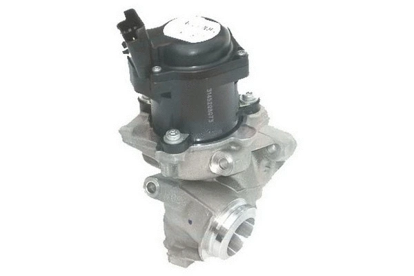 EGR Valve (83.601)