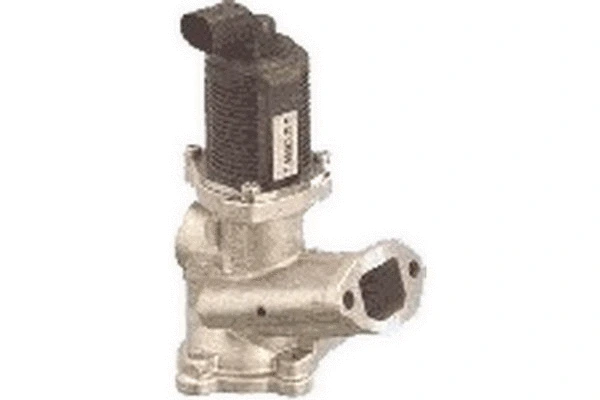 EGR Valve (83.668)