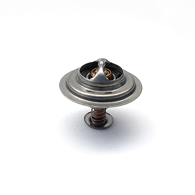 Thermostat, coolant (94.318)