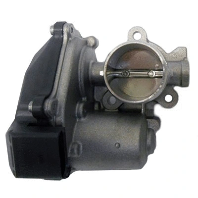 EGR Valve (83.1111)