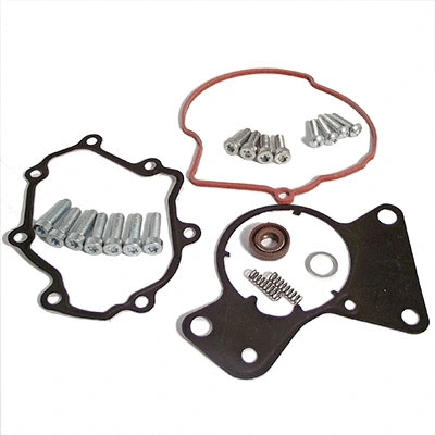 Repair Set, vacuum pump (braking system) (89.190A2)