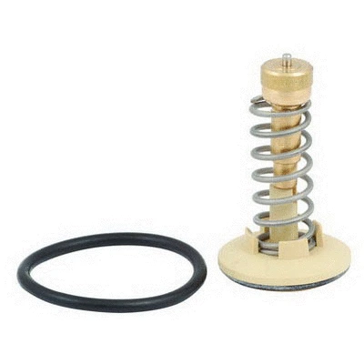 Thermostat, coolant (94.646)