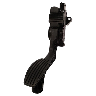 Accelerator Pedal Unit (84.419)